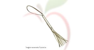 CHICOTE OURO COM TIRAS DE 20 CM - O FRUTO